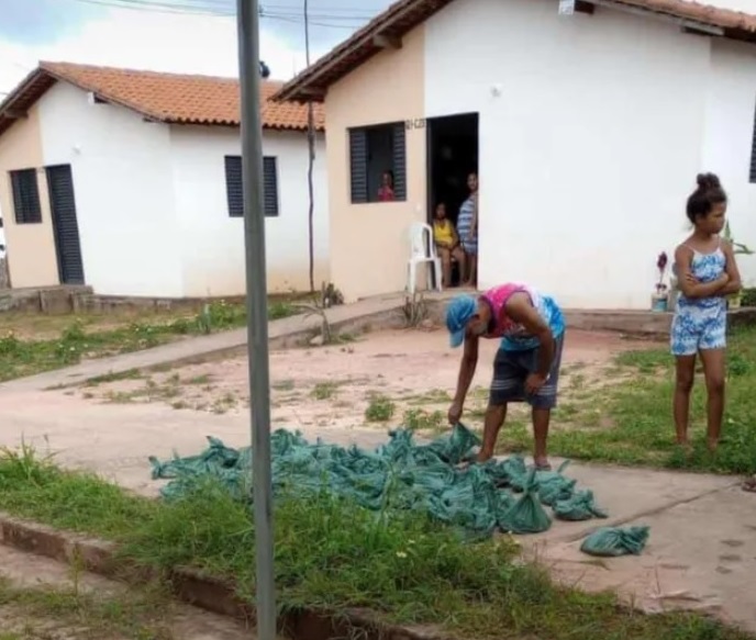 Distribuição de peixes em Demerval Lobão (PI)