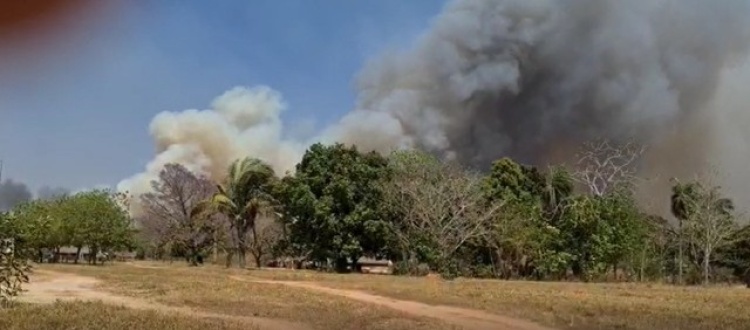 Com informações G1 Mato Grosso