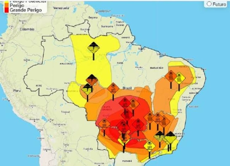 Com Informações: Agência Brasil 