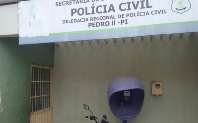 Caso está sendo investigado pela Polícia Civil de Pedro II — Foto: Divulgação/Polícia Civil