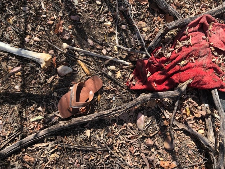 Ossada humana é encontrada por agricultor no interior do Piauí - Foto: Reprodução/Cidades na Net