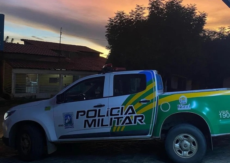 Embriagado, homem é preso após agredir a própria mulher em Elesbão Veloso (Foto: Divulgação/ PM)