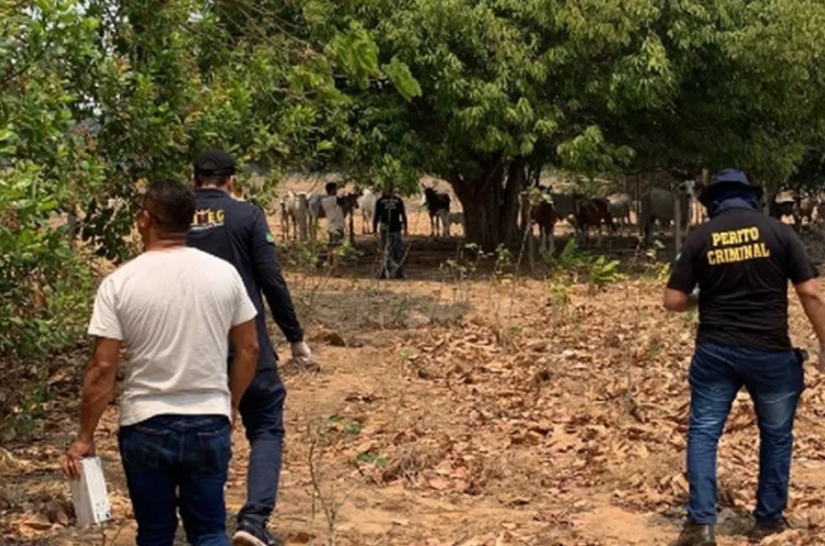 FOTO: Polícia Civil/Divulgação