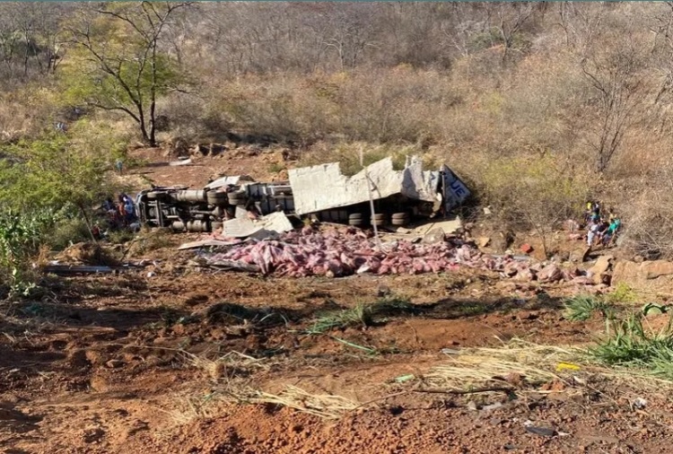 Caminhão tomba em curva e capota com carga de carne na BR-316, no Piauí — Foto: Polícia Rodoviária Federal