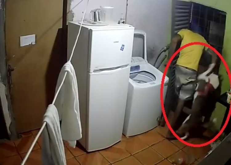 Cachorro morde homem que invadiu casa para fazer assalto na Zona Sul de Teresina — Foto: Divulgação