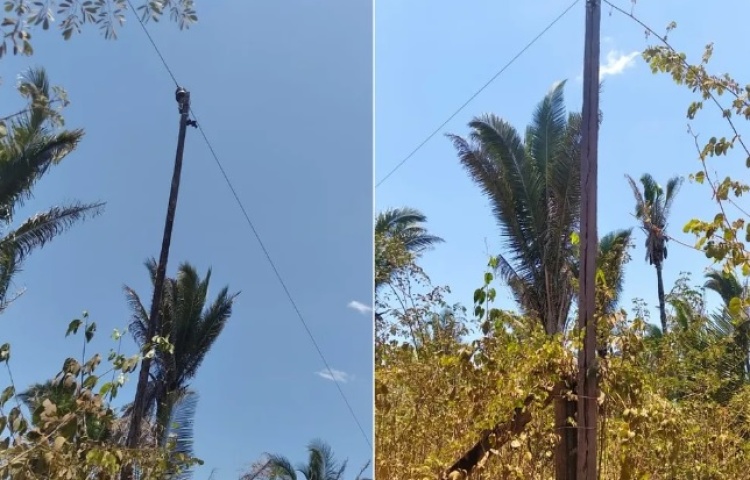 Rede elétrica no interior do Piauí tem postes de madeira unidos por arames: ‘tragédia clara’, diz morador — Foto: Arquivo Pessoal