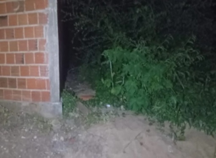 PI: Vigilante é preso no momento em que estuprava mulher com deficiência mental (Foto: Divulgação)