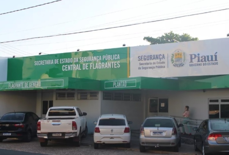 Central de Flagrantes de Teresina, Piauí — Foto: Lívia Ferreira /g1