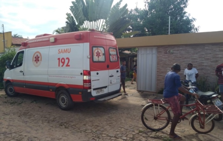 Homem morre após cair de árvore durante serviço de poda em José de Freitas (Foto: Francisco Mendes)