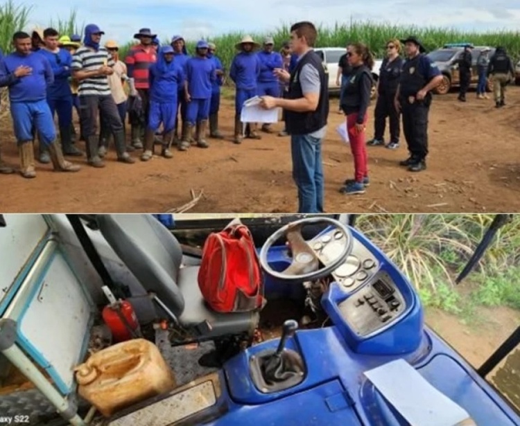 Operação resgata 78 trabalhadores piauienses em fazenda de Goiás - Foto: Divulgação/MPT