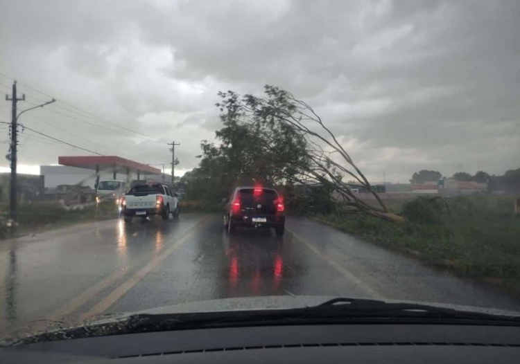 Foto: Campo Maior em Foco