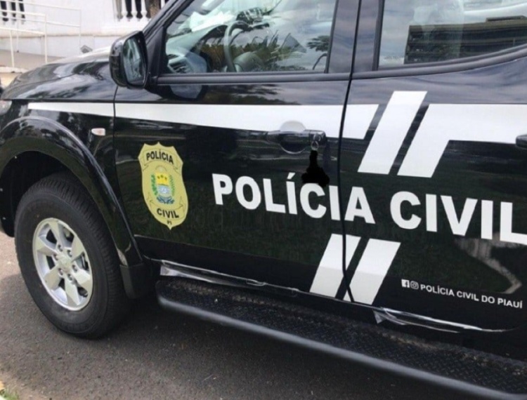 Suspeito de estuprar enteada desde os 14 anos e engravidá-la é preso no PI | Foto: Divulgação / Policia Civil