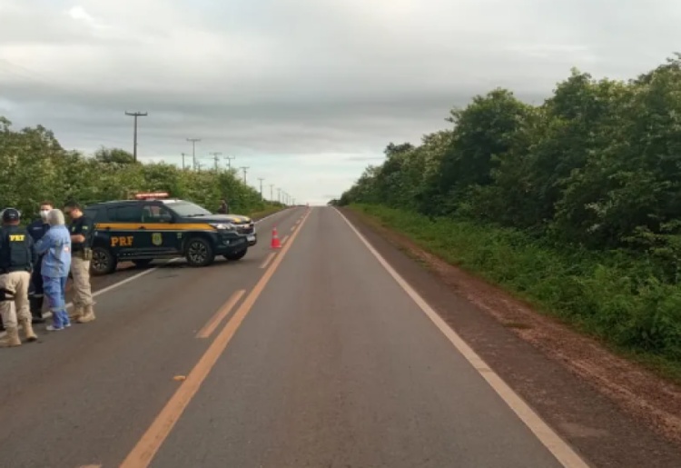 Idoso morre ao ser atropelado por veículo na BR-402, em Parnaíba; motorista fugiu — Foto: Divulgação/PRF