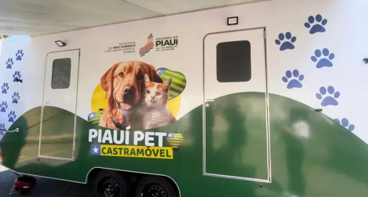 Castramóvel deve atender 7 mil animais no PI até o fim de 2023; protetores e população de baixa renda terão acesso. — Foto: Isabela Leal / g1PI