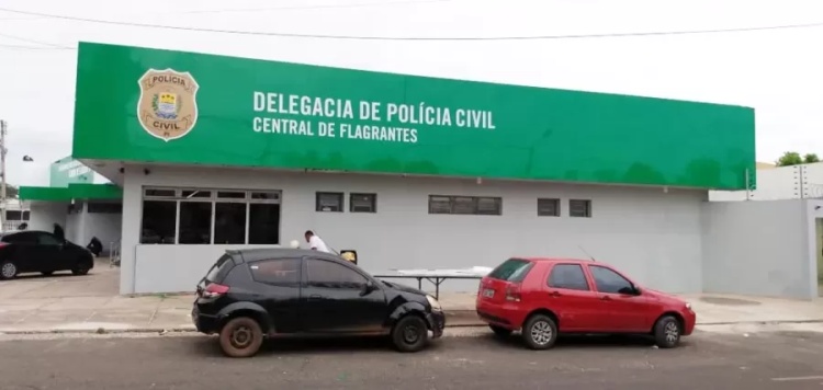 Central de Flagrantes de Teresina — Foto: Livia Ferreira/g1