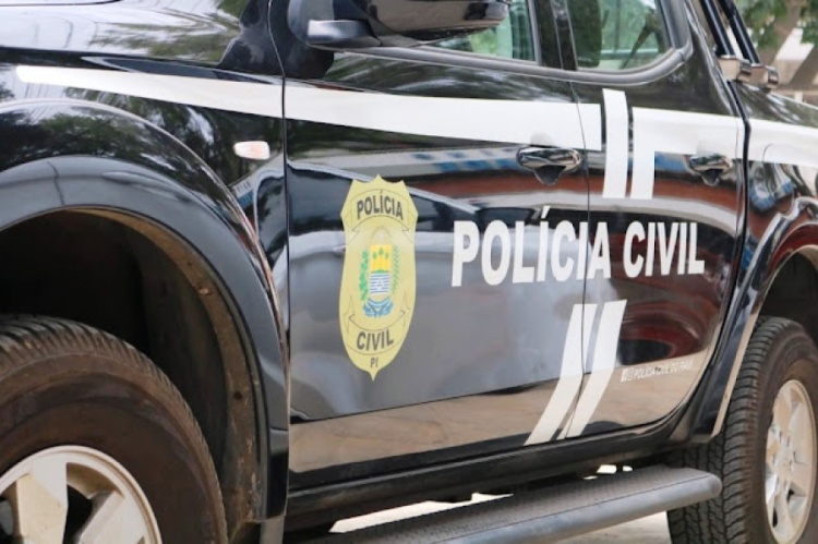 Foto: Polícia Civil 