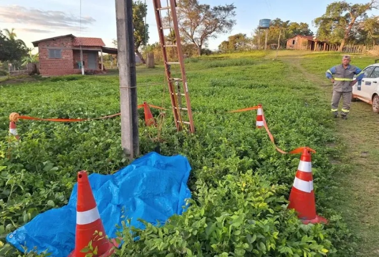 Foto: reproduções 