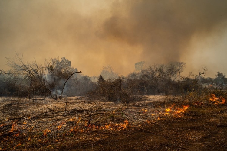 Foto: Getty Images/Lucas Ninno