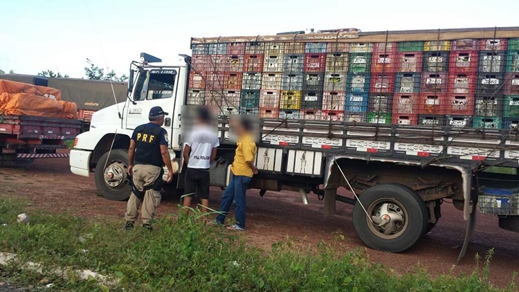 Foto: Divulgação/PRF