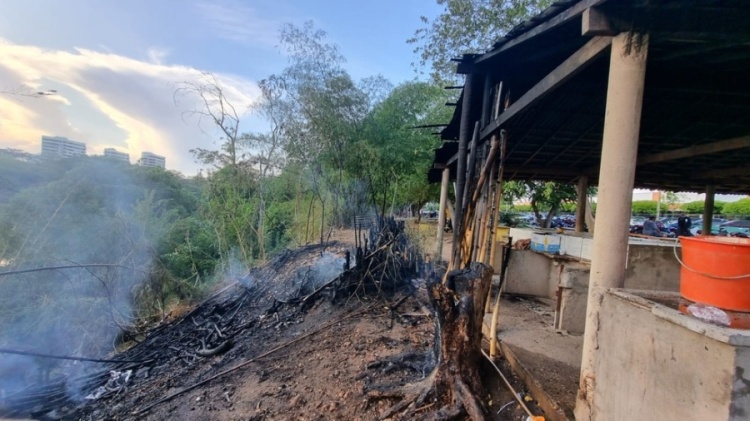 Foto: Pedro Lima/g1 Piauí