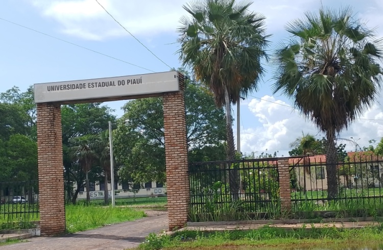 Foto: Campo Maior em Foco