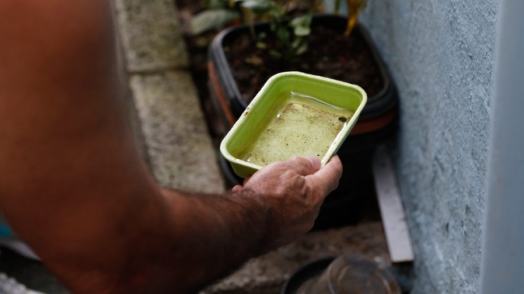 Na imagem, se checa se há larvas em recipiente com água parada durante ação na cidade de São Paulo