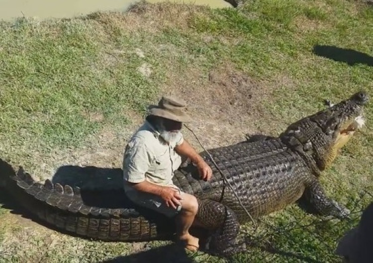 Rob Bredl chega a sentar nas costas do enorme crocodilo (Foto: Reprodução/YouTube/ViralHog)