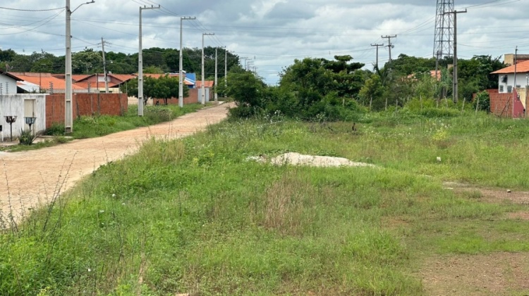 Foto: Campo Maior Em Foco/ Av. Oscar Castelo Branco, localizada no Parque Estrelas