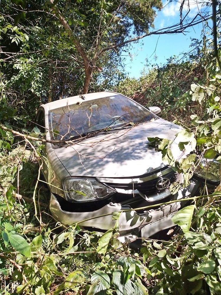 Fonte: Diário do Norte