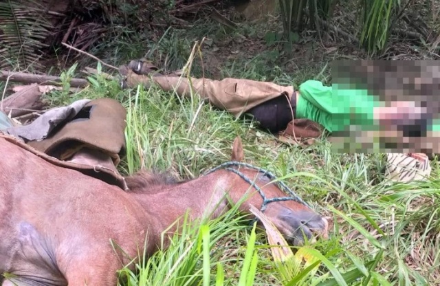 Vaqueiro de 22 anos e cavalo morrem eletrocutados em zona rural no Piauí