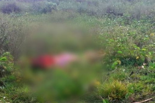 PIRIPIRI/PI: Mulher é encontrada morta com marcas de tiro em terreno baldio 