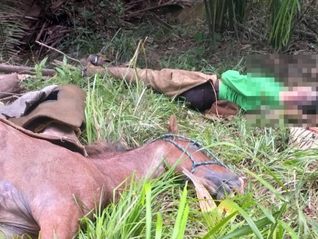 Vaqueiro de 22 anos e cavalo morrem eletrocutados em zona rural no Piauí