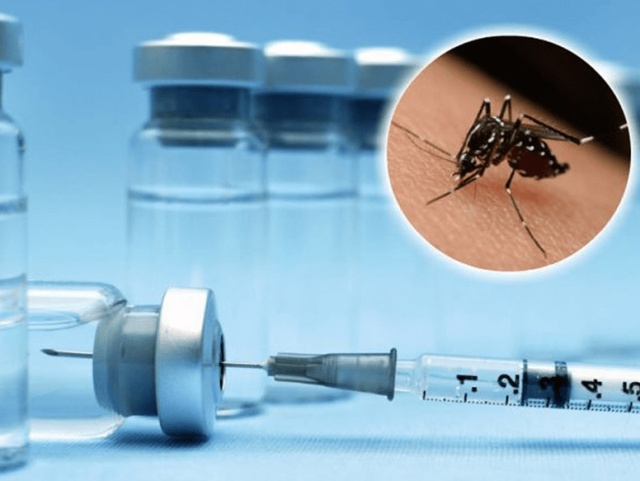 EmFoco Explica: Vacina contra Dengue existe, mas porquê não é acessível a todos?